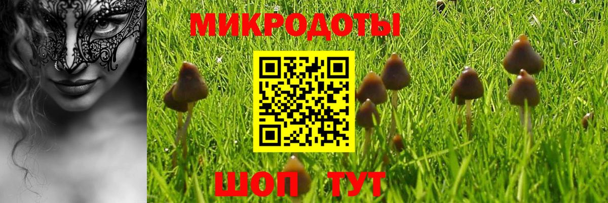 Егорьевск  Псилоцибиновые грибы прущие грибы  Вход с VPN 